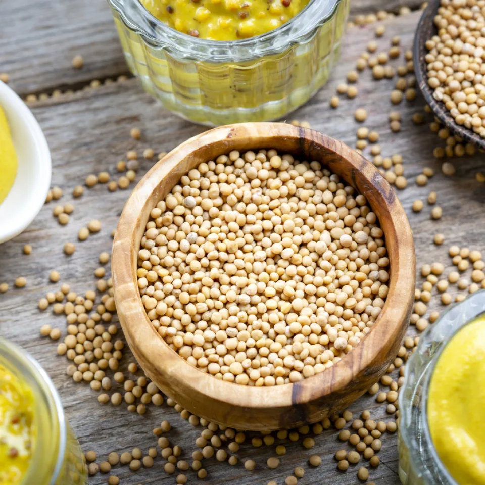 Weißer Senf: Die milde Komponente im mittelscharfen Senf
