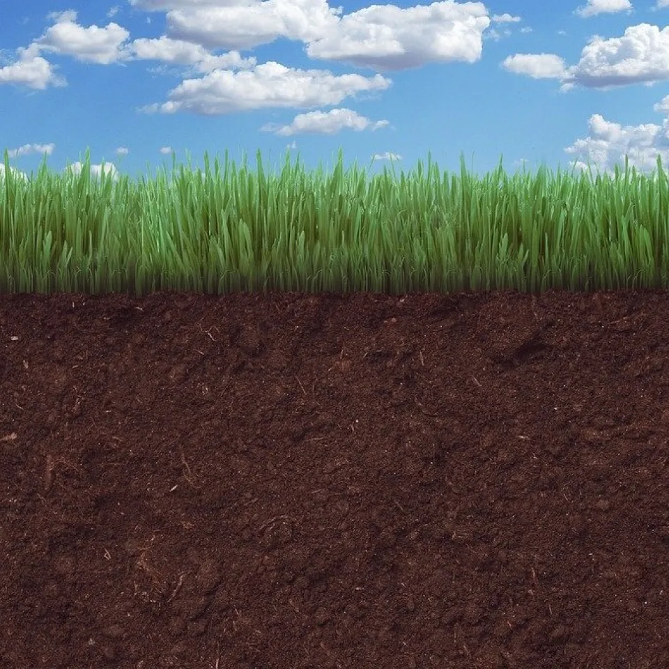 Klimawandel treibt Humusabbau voran