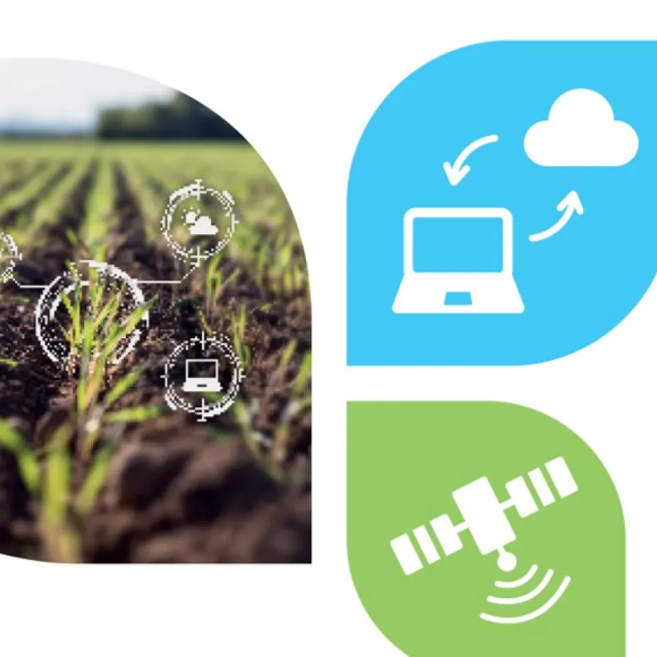 Interview: "Digitalisierung bedeutet für viele Betriebe eine neue Art zu arbeiten"