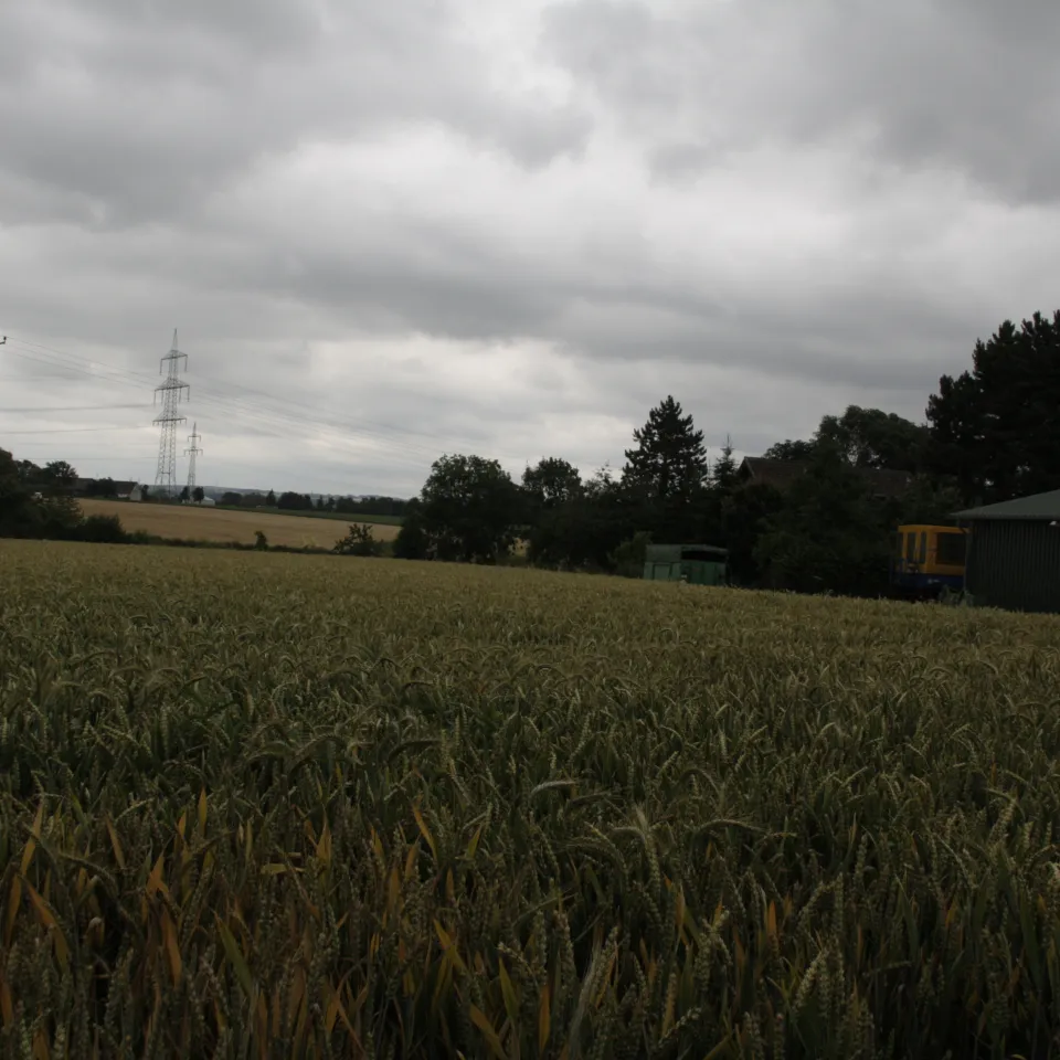 Neue Serie: Nachhaltigkeit im Pflanzenbau