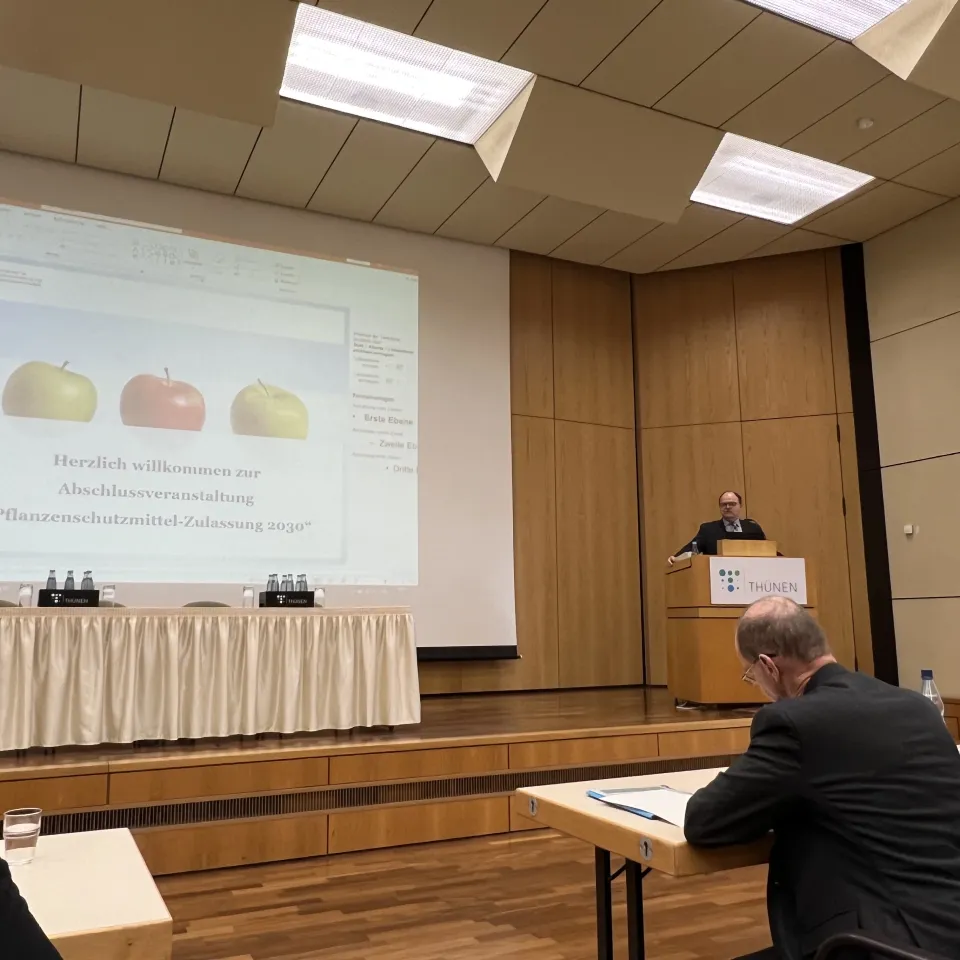 IVA: Experten-Empfehlungen zügig umsetzen