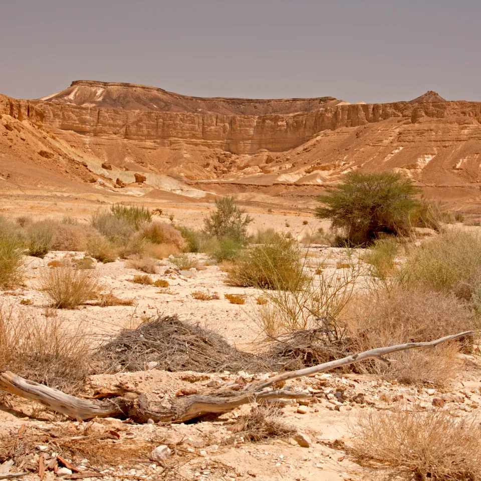 Winziger Wasserträger mit großer Wirkung