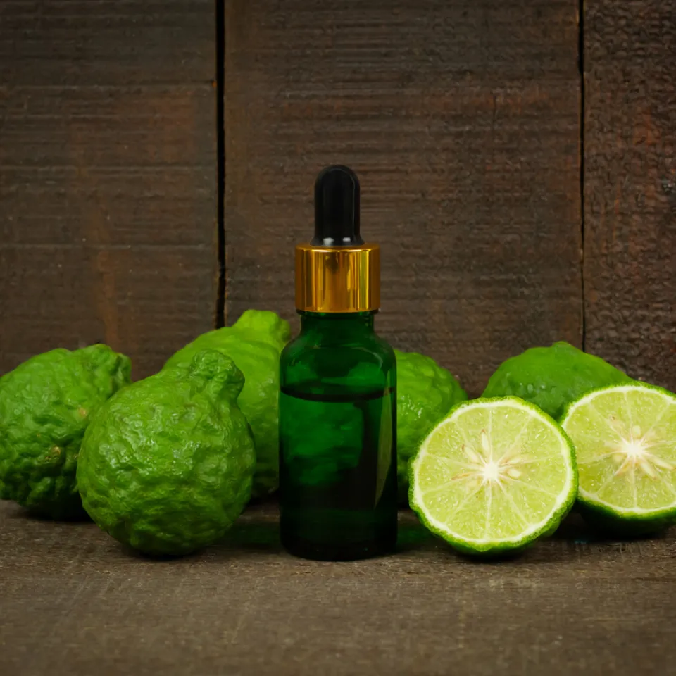 Bergamotte: Die Zitrusfrucht für die Parfüm-Industrie