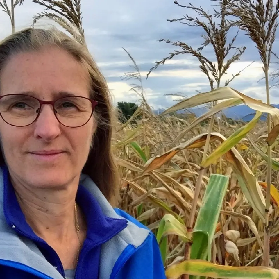 Susanne Groh: „Neue Technologien verändern die Pflanzenzüchtung“