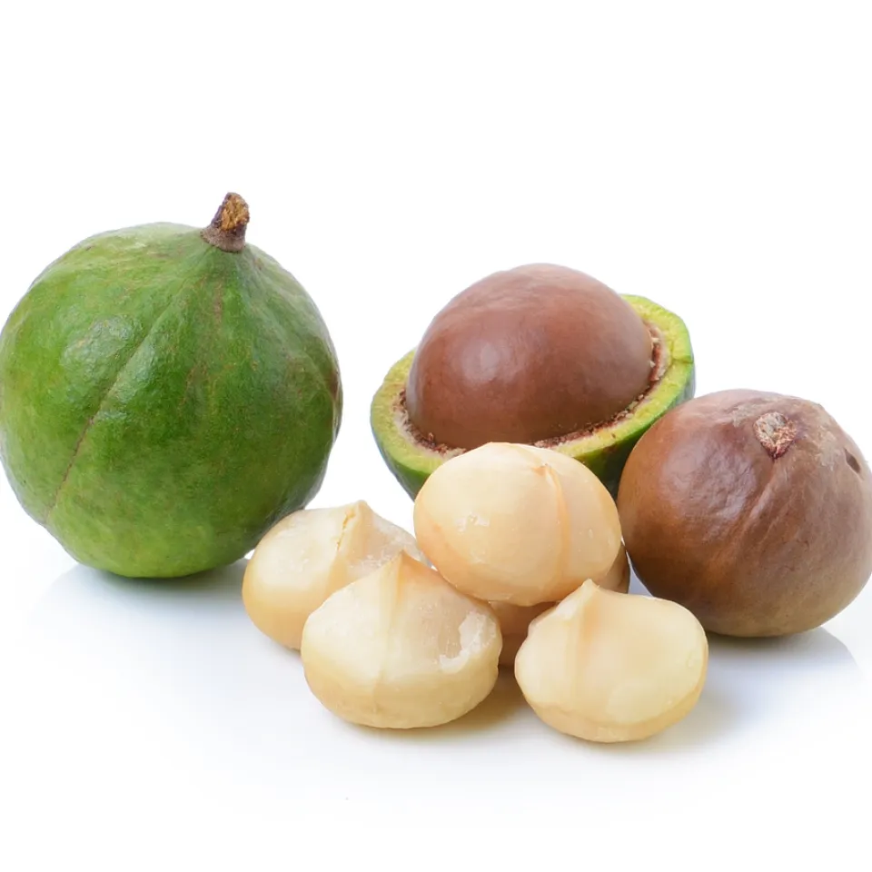 Macadamia: Die Nuss mit dem größten Marktwachstum