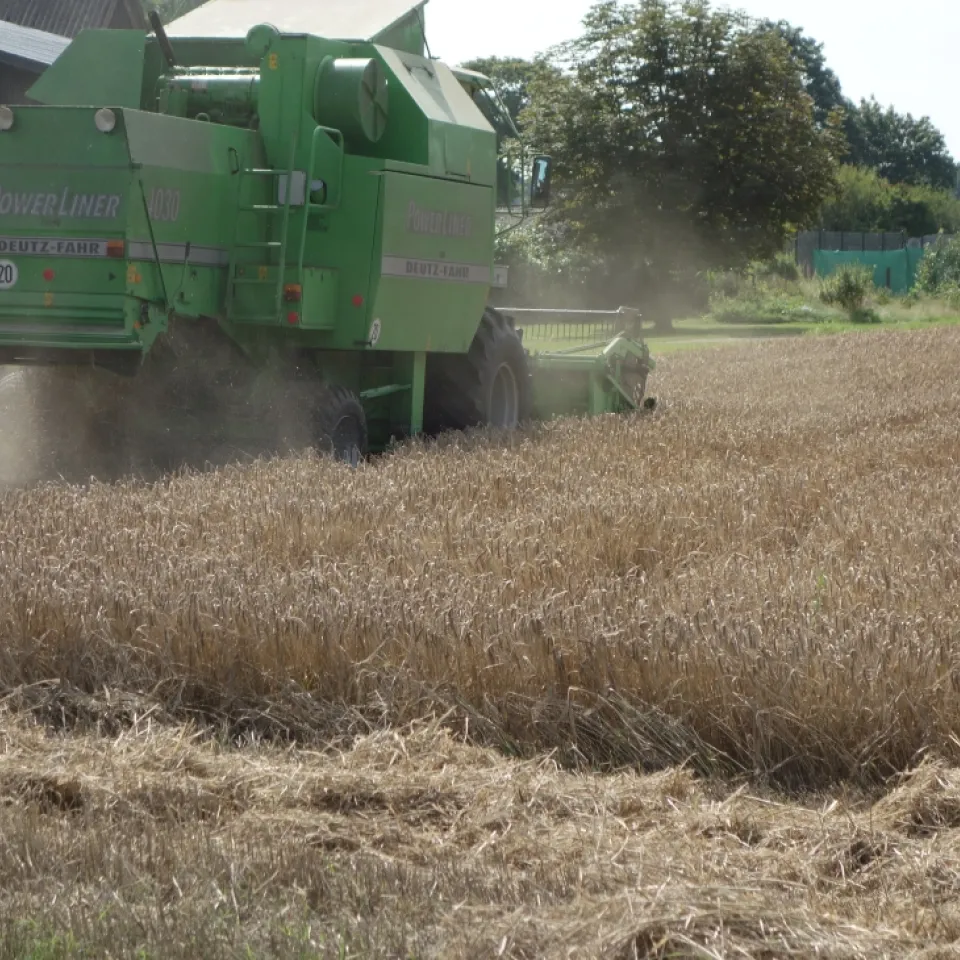 Konsequente Feldhygiene vermindert Krankheitsdruck