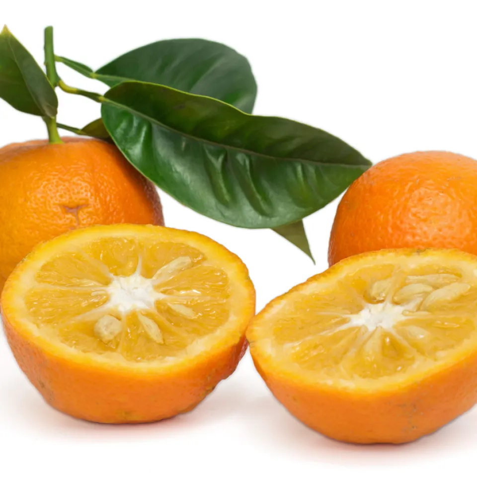 Pomeranze: Die bittere Schwester der Orange