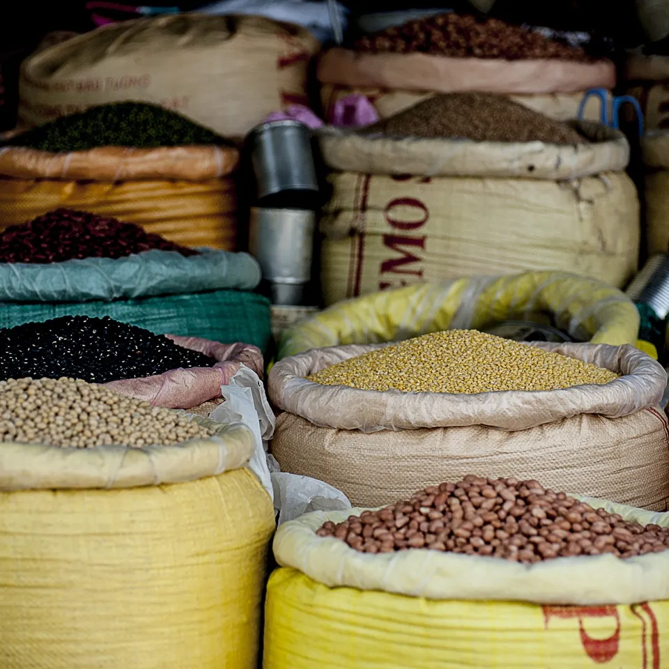 Machen Lektine in Hülsenfrüchten krank?