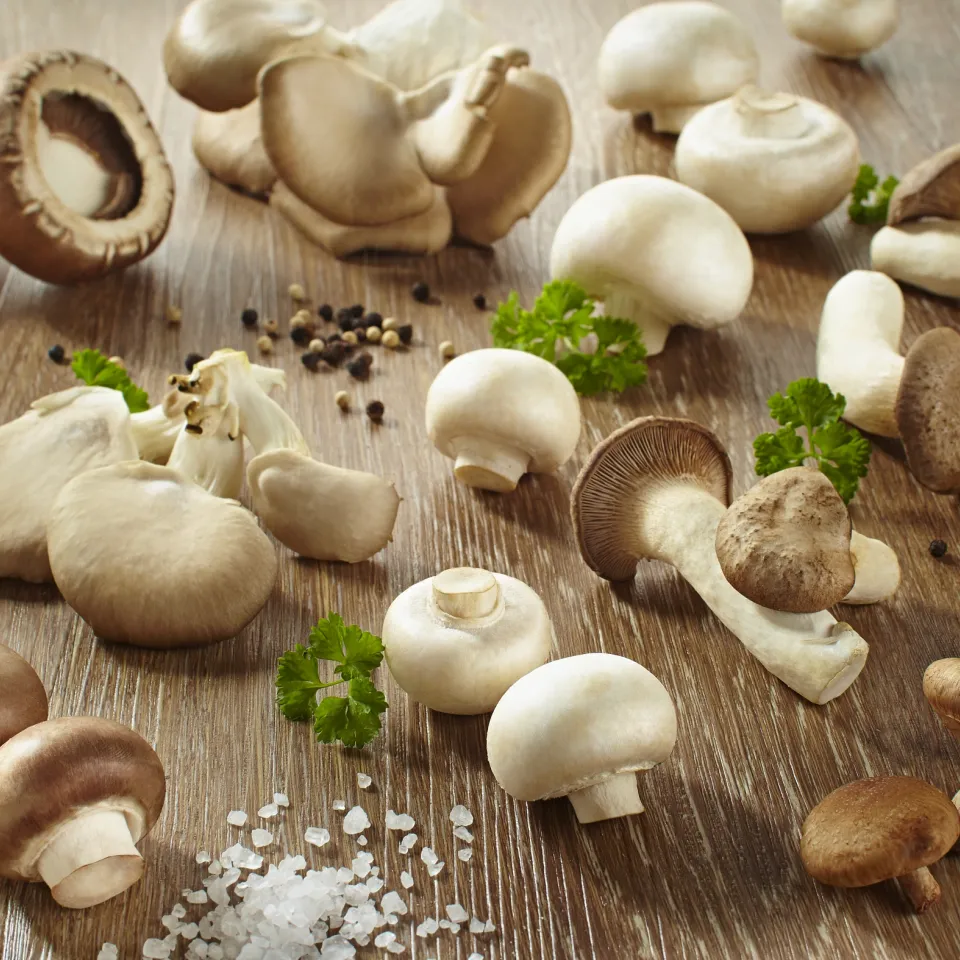 Pilz-Vielfalt genießen