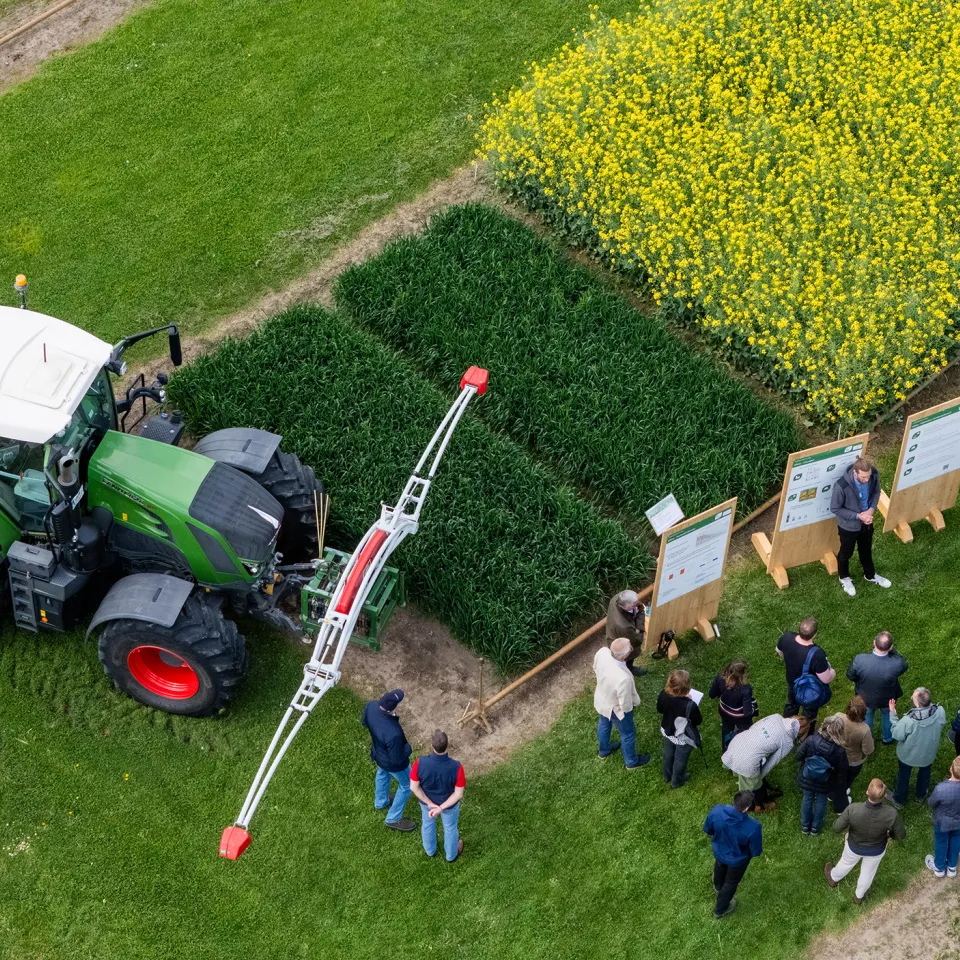 Landwirtschaft am Limit: Zwischen Klimawandel und Schädlingsdruck