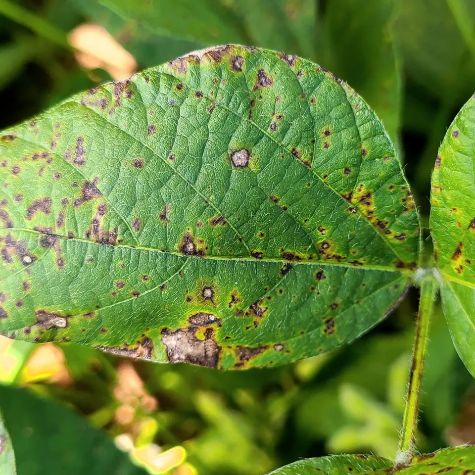 Neue Auflage: IVA-Lernprogramm Sachkundenachweis