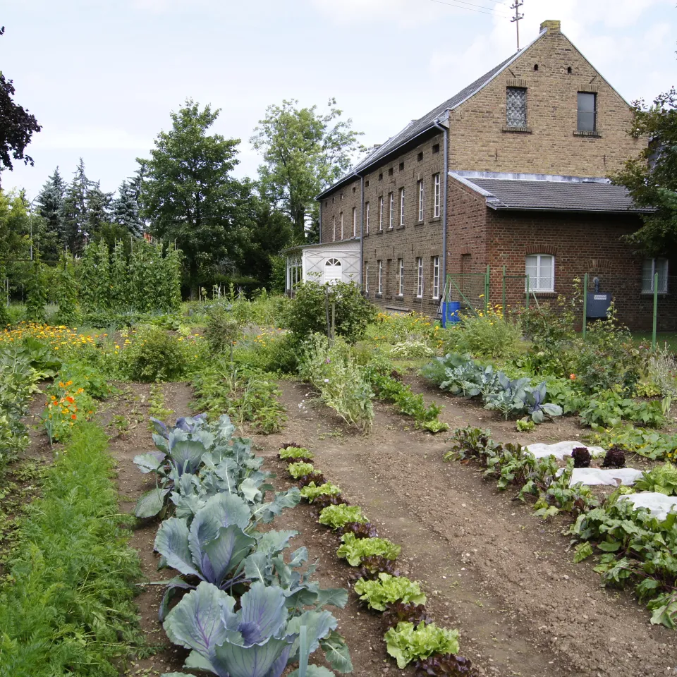 Ausstellung "Stadt, Land, Garten"