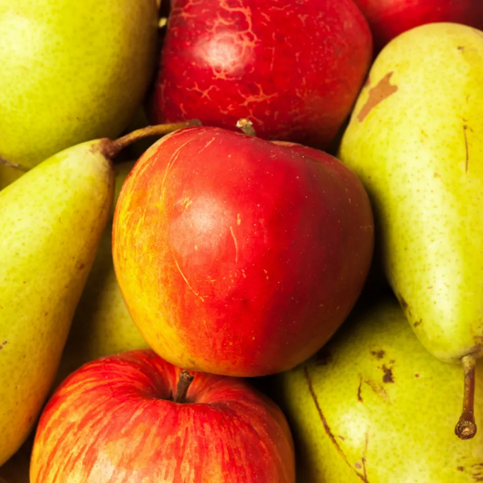 Buchtipp: 600 alte Apfel- und Birnensorten neu beschrieben