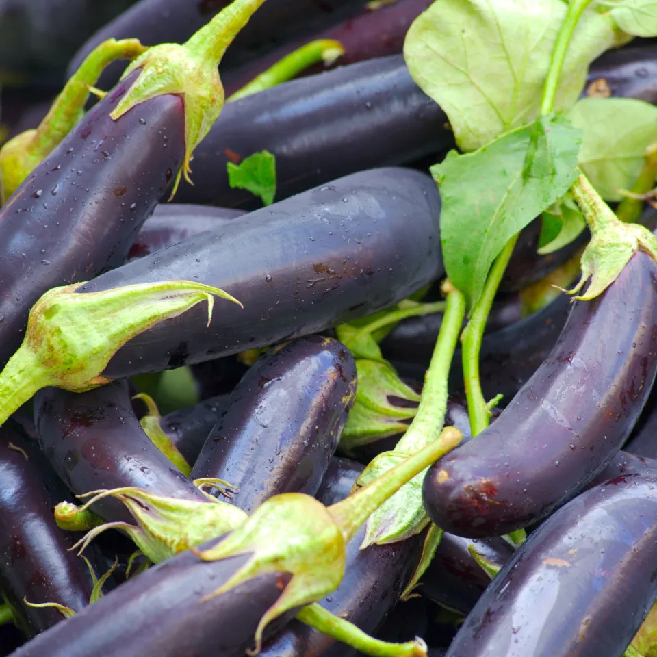 Auberginen müssen reif sein