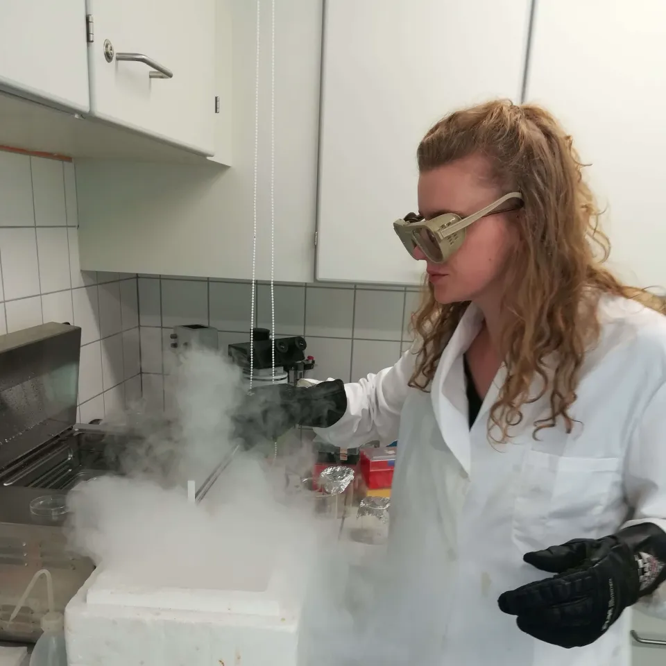 Genreserve für Bienen