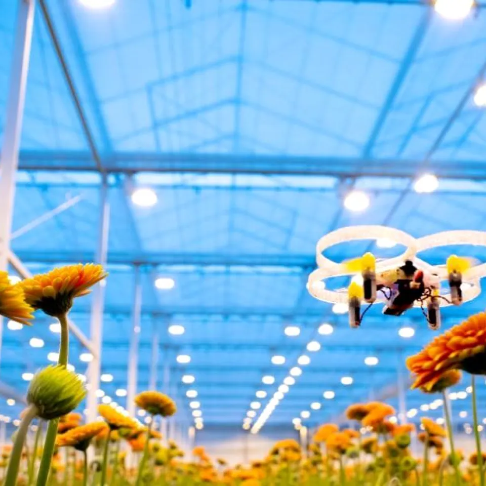 Minidrohnen im Gewächshaus