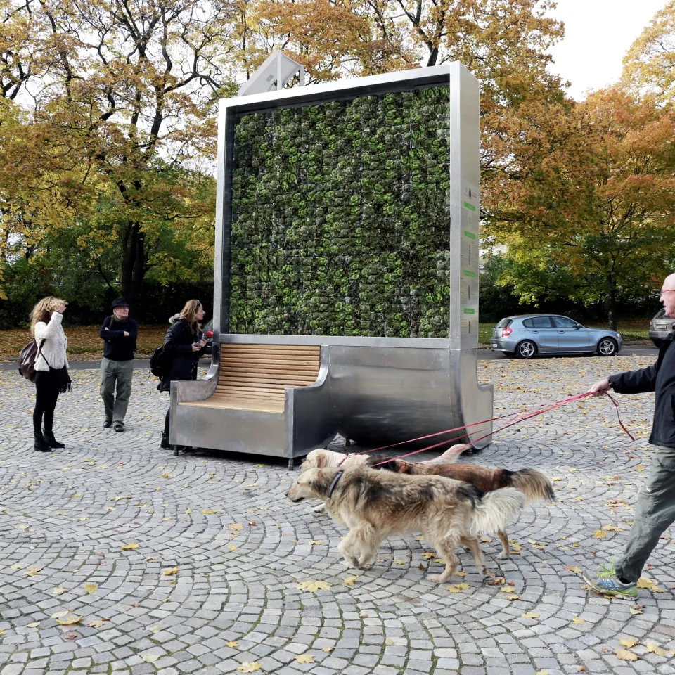 Pflanzlicher Filter zum Durchatmen