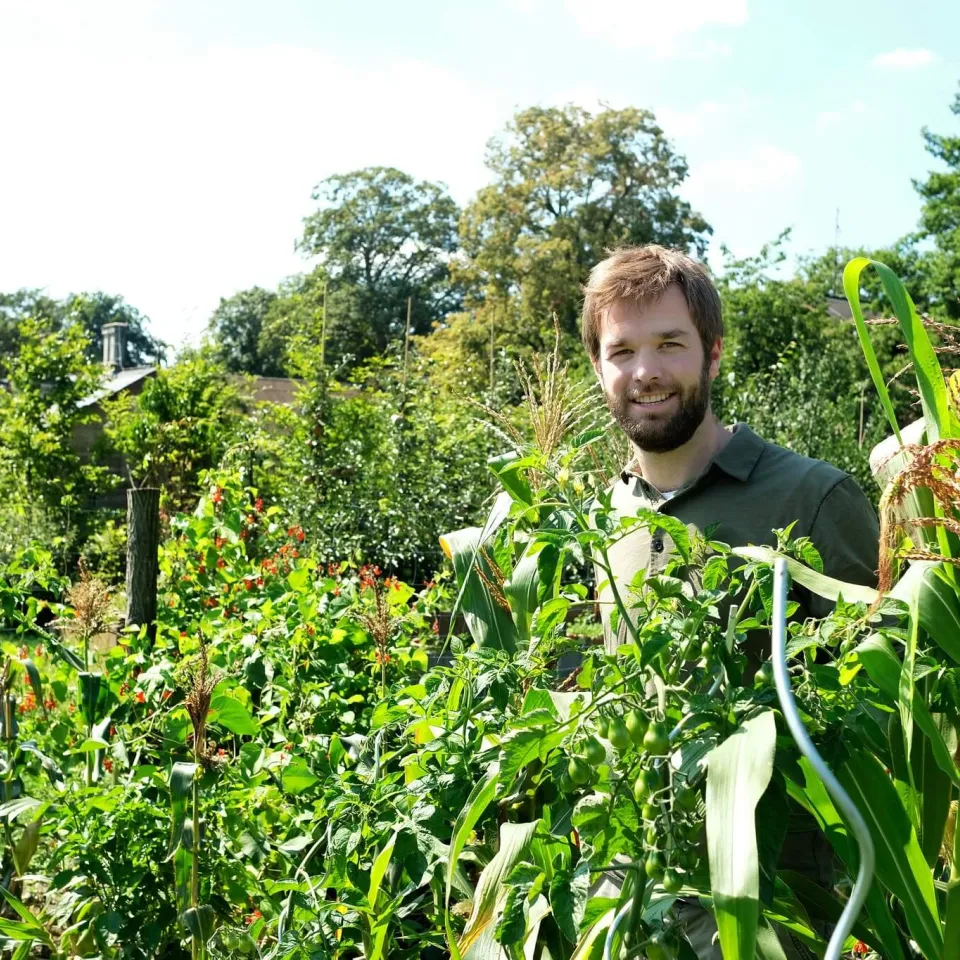 Wie wächst mein Essen?