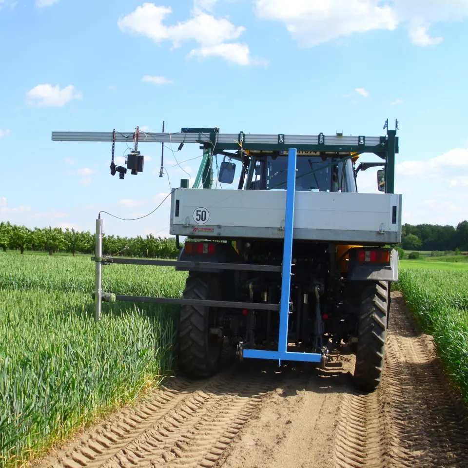 Mit "FungiDetect" Getreideernten sichern