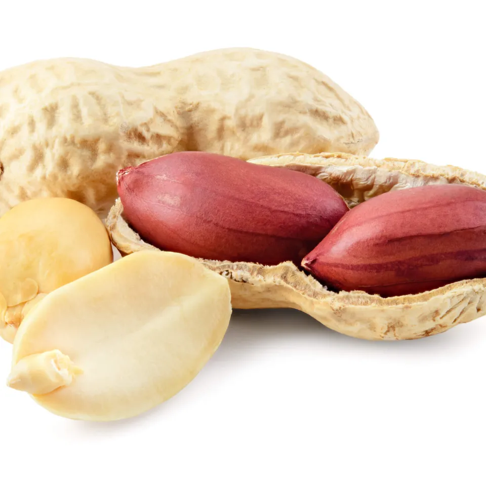 Erdnuss: Da steckt was drin