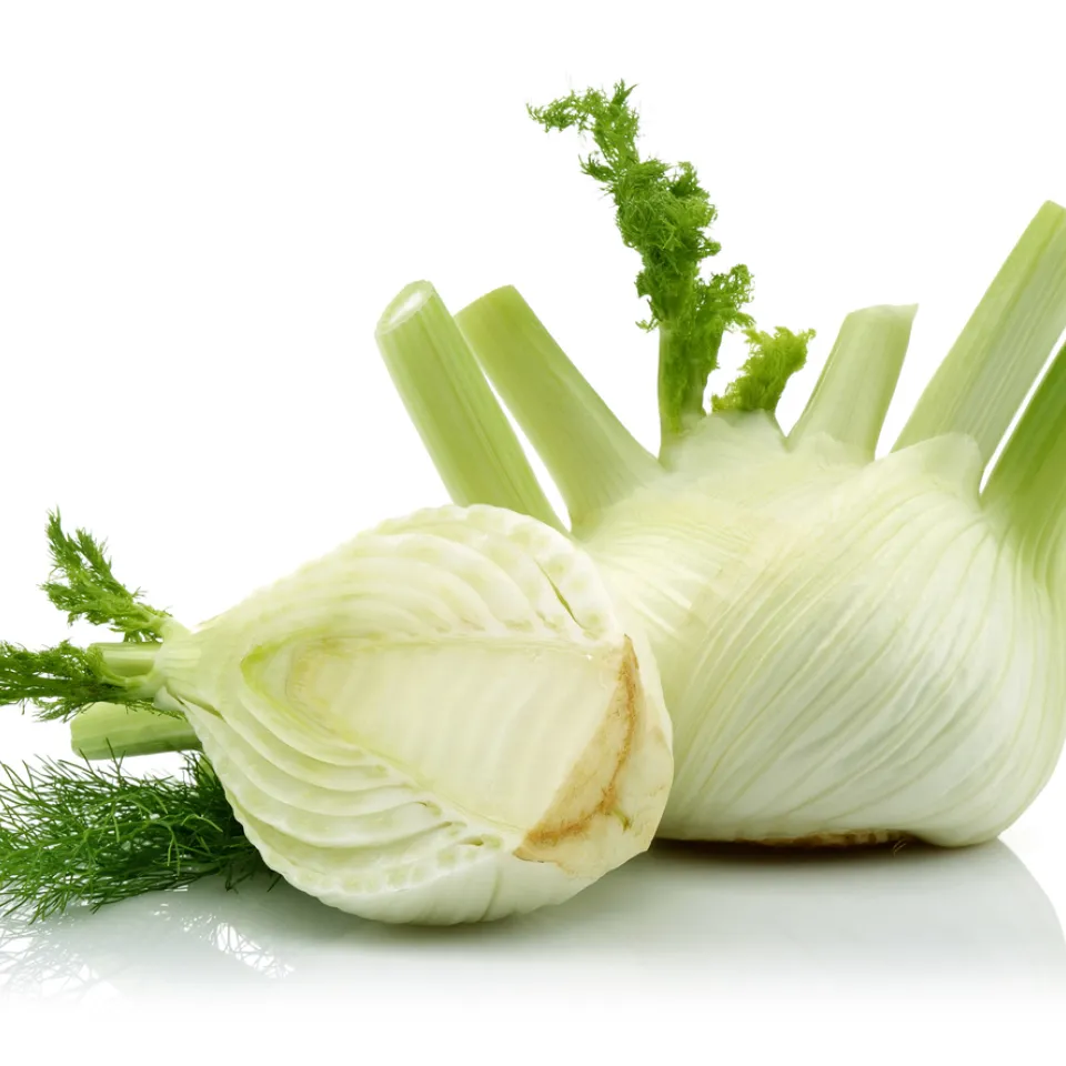 Gemüsefenchel: immer häufiger auf dem Teller
