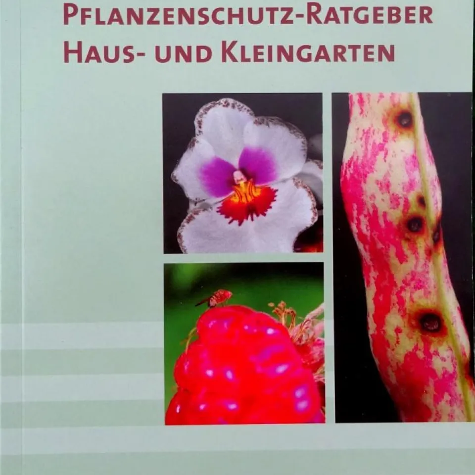 Buchtipp: Pflanzenschutz-Ratgeber Haus- und Kleingarten