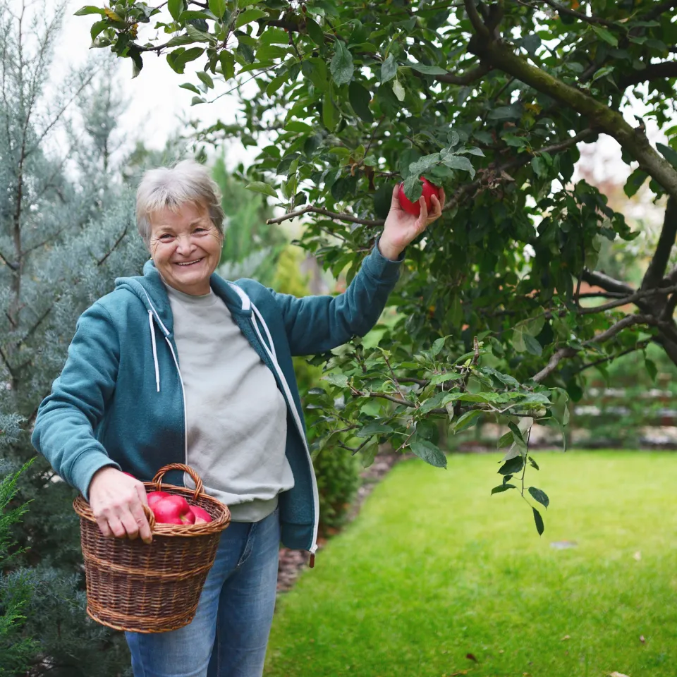 Buchtipp: Mein Obstgarten, wie er mir gefällt