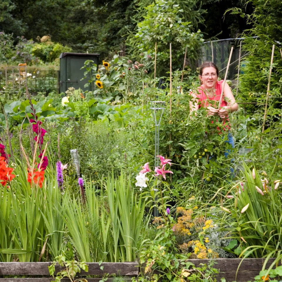 Gesunde Pflanzen im Wochenendgarten