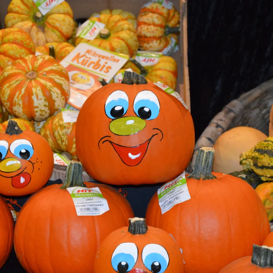 Kürbis: Klopfprobe verrät Reife