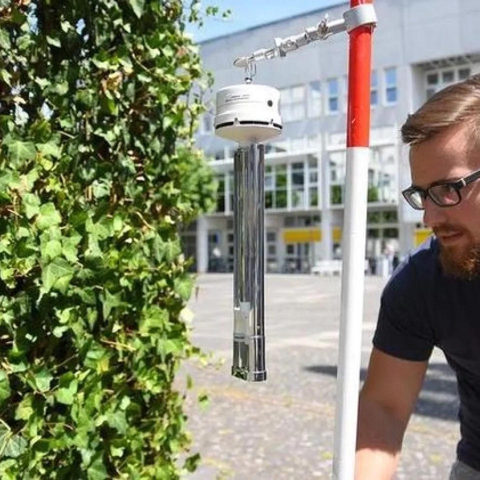 Die senkrechten Gärten von Bingen