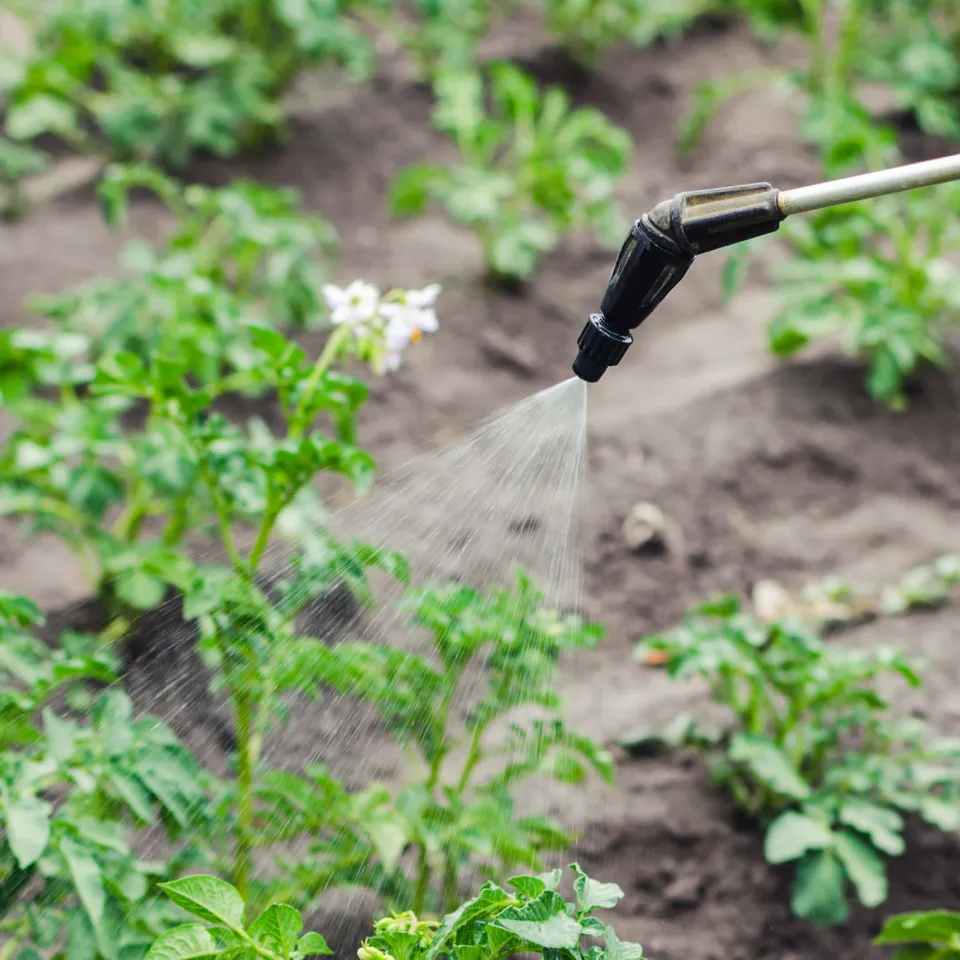 Ruckzuck umprogrammiert