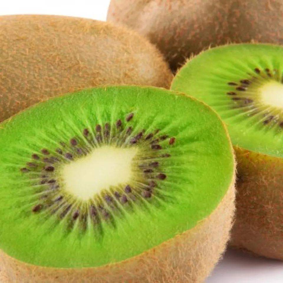 Die Kiwi – das doppelte Genom macht vieles möglich 