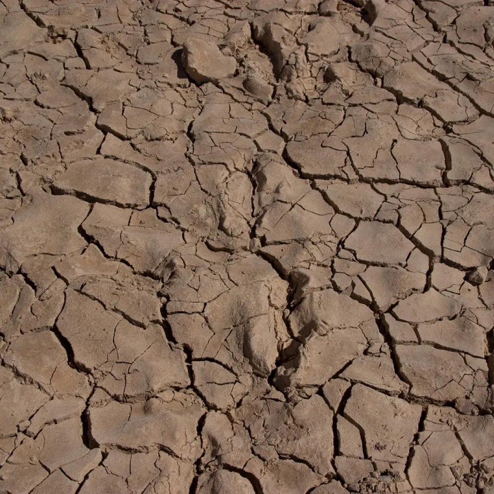 Klimaextreme gefährden die Ertragssicherheit