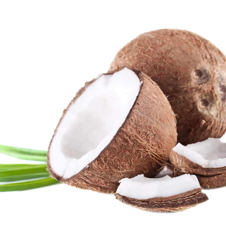 Kokosnuss: Ein Hauch von Exotik