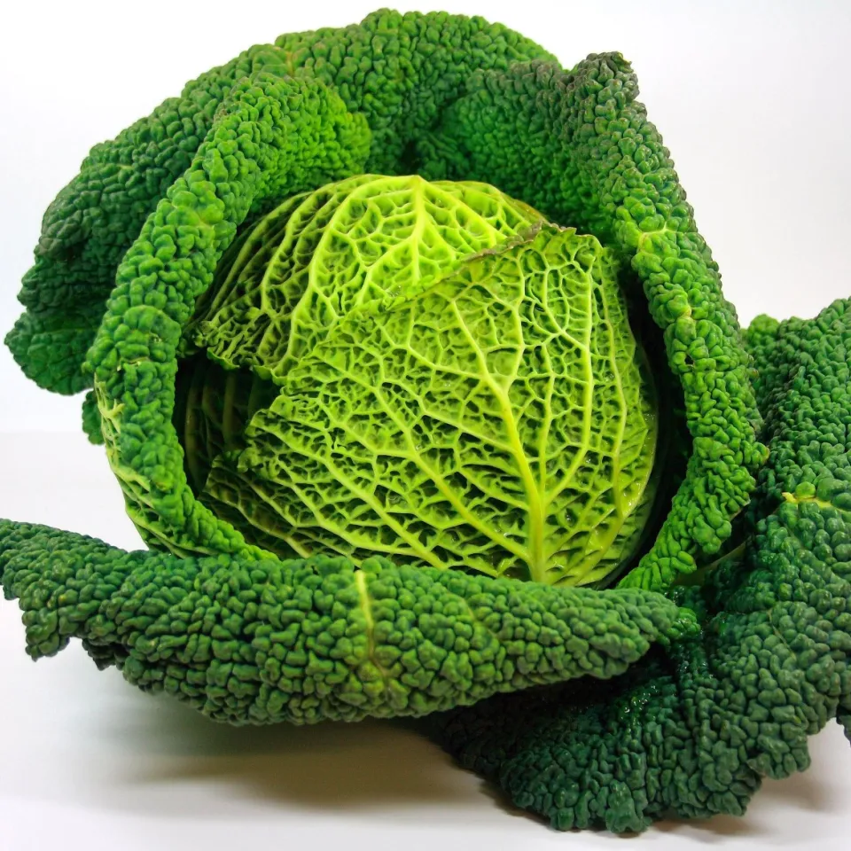 Wirsing: Supergemüse für den Winter