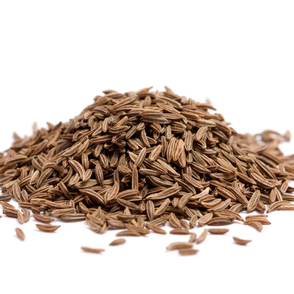 Echter Kümmel: Alleskönner unter den Gewürzkräutern