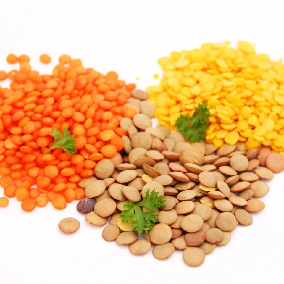 Linsen: hochwertige Rarität