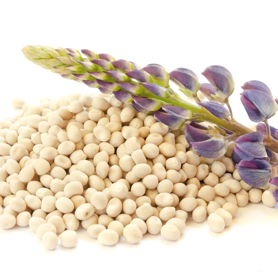 Joghurt aus Pflanzen