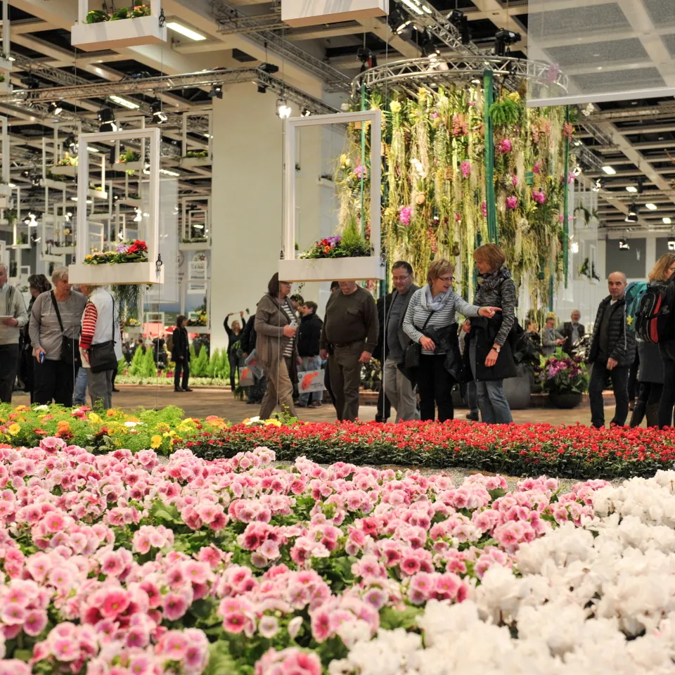 Messe-Nachlese: Die Blumenhalle auf der Grünen Woche 2018