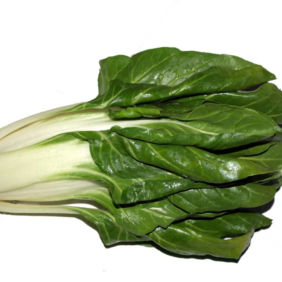 Mangold: Mehr als ein Spinat-Ersatz im Sommer