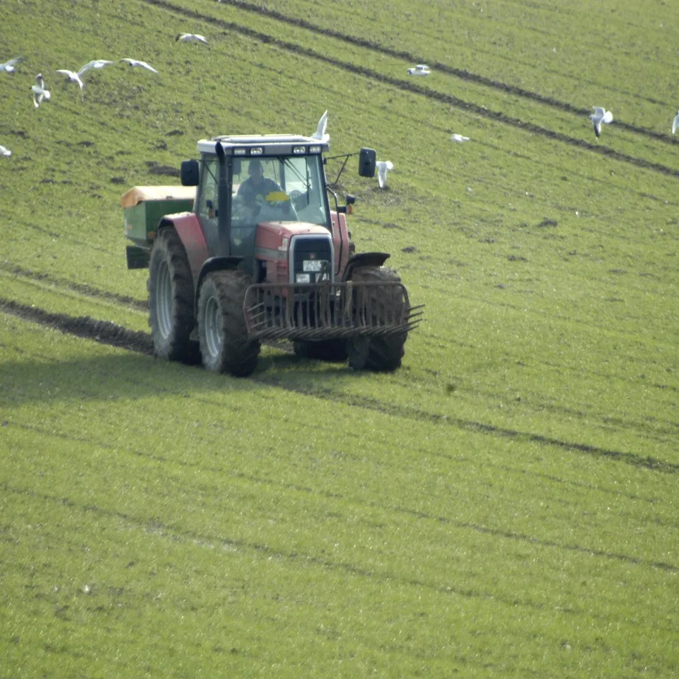 Der erste Dünger: Starthilfe fürs Getreide