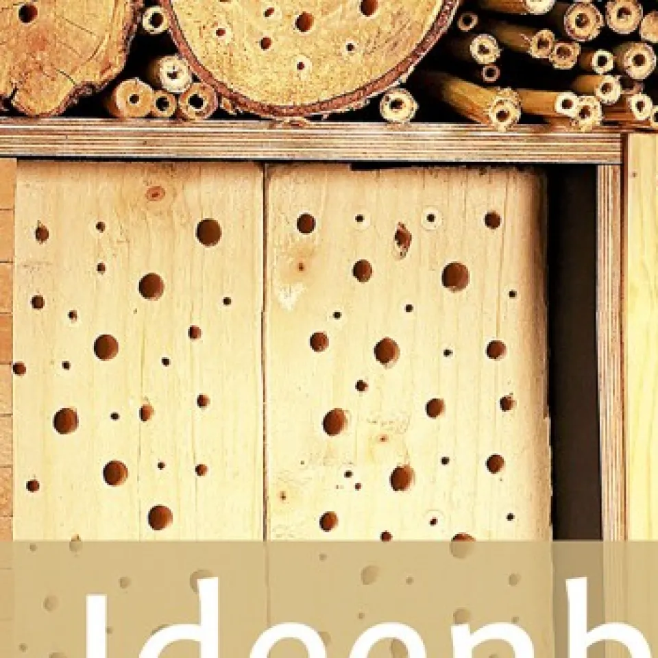 Ideenbuch Insektenhotels