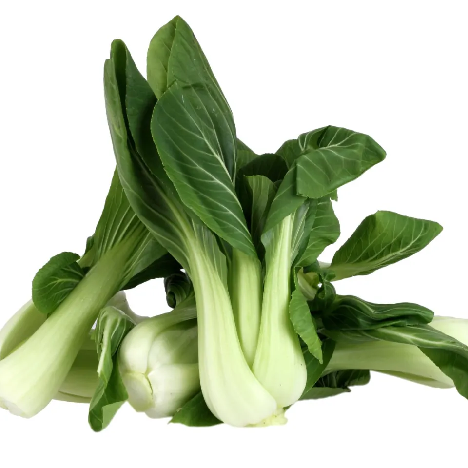 Pak Choi: das klassische Wok-Gemüse