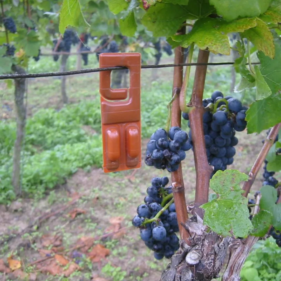 Was bedeutet Integrierter Pflanzenschutz?