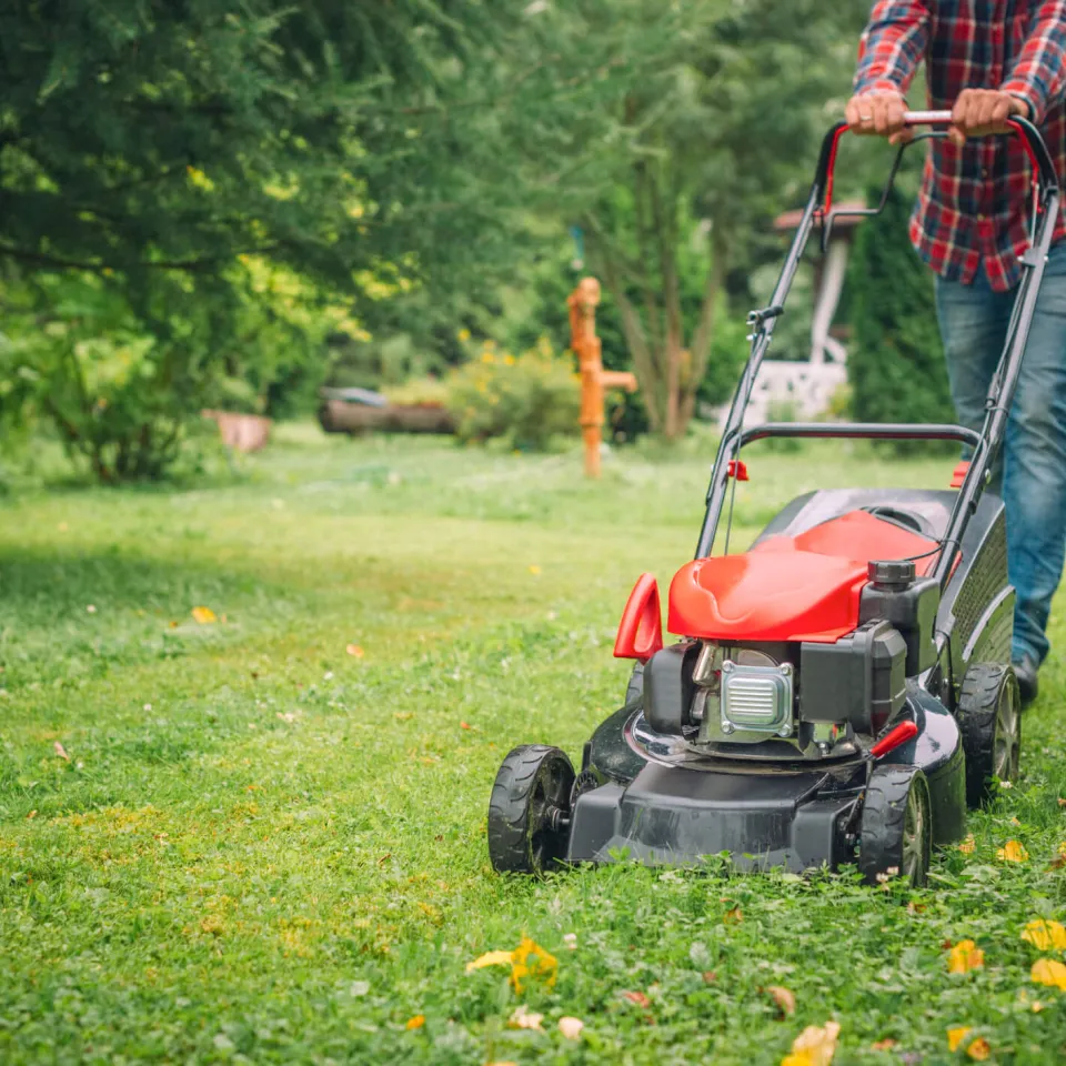 Herbstarbeiten im Garten