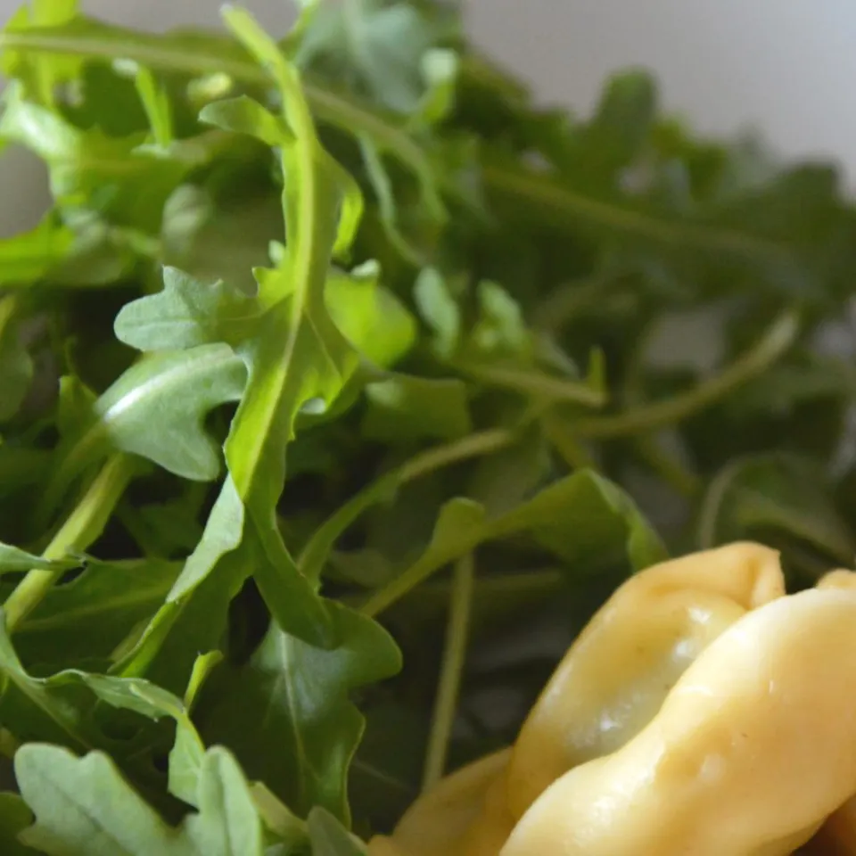 Rucola – mild oder lieber scharf?