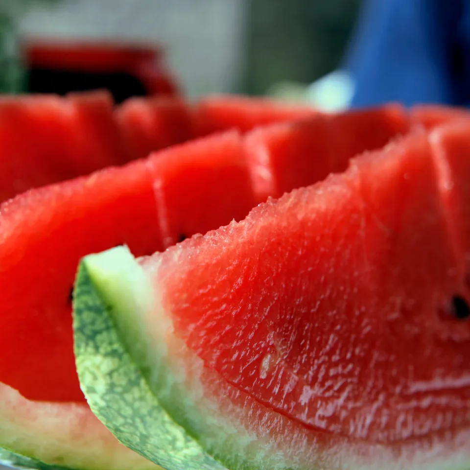Wassermelonen – Eine sommerlich fruchtige Erfrischung