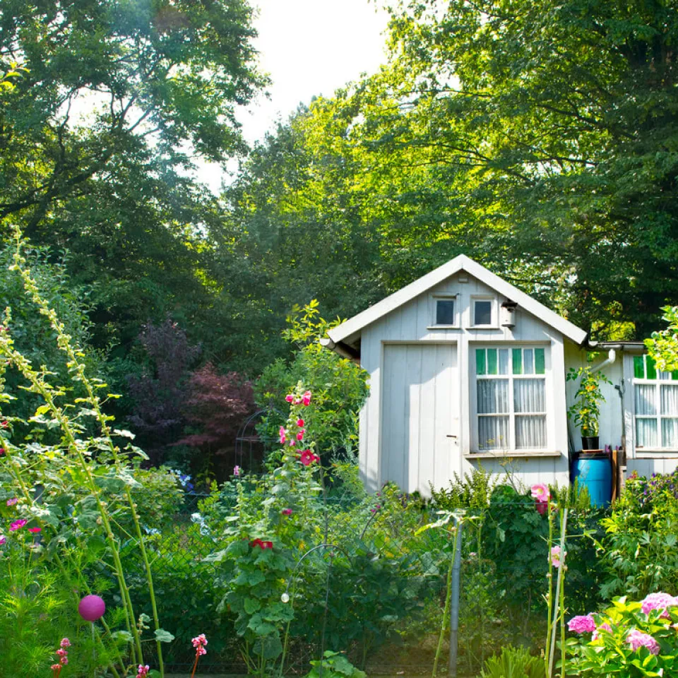 Am 9. Juni ist Tag des Gartens