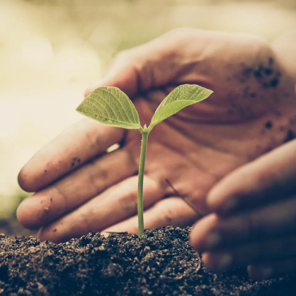 Pflanzenschutz: Fakten oder Emotionen?