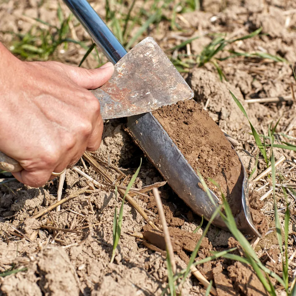 Wie viel Humus braucht der Boden?